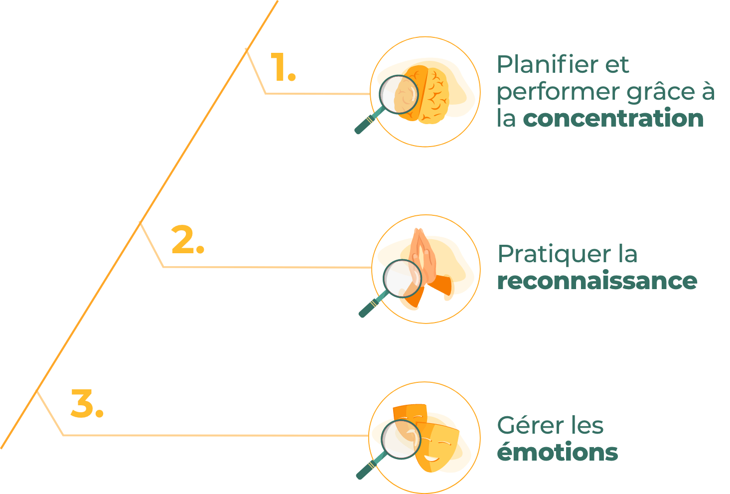 Schema-themes@2x